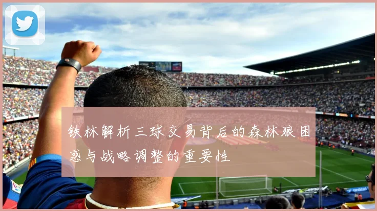 铁林解析三球交易背后的森林狼困惑与战略调整的重要性